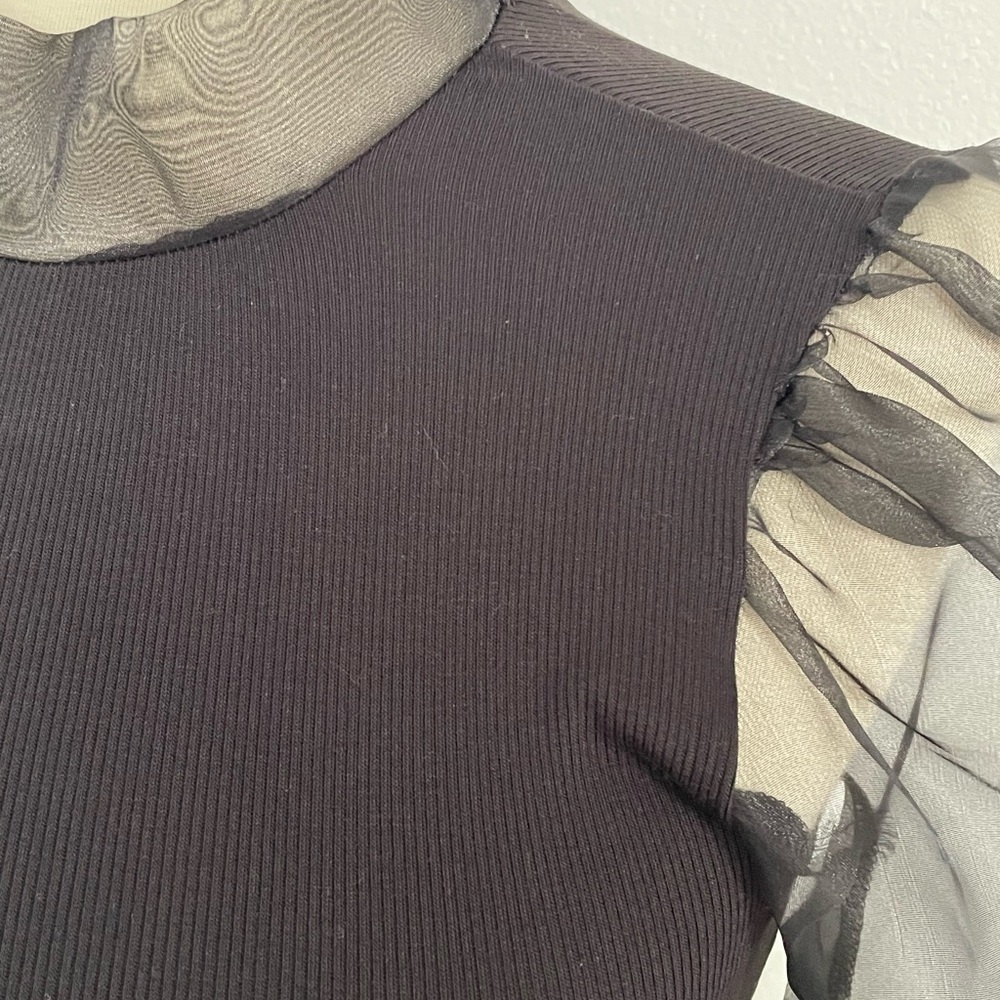 tinywillow Black Top with Sheer Sleeves XS - Picture 2 of 9
